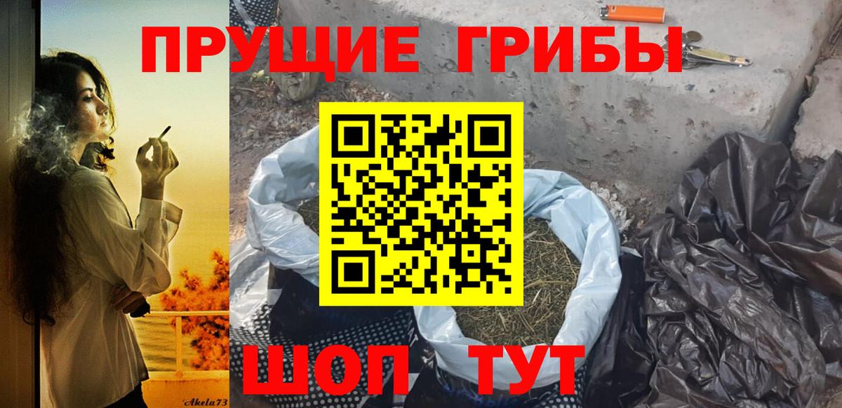Псилоцибиновые грибы ЛСД  Вход с VPN  Зима 